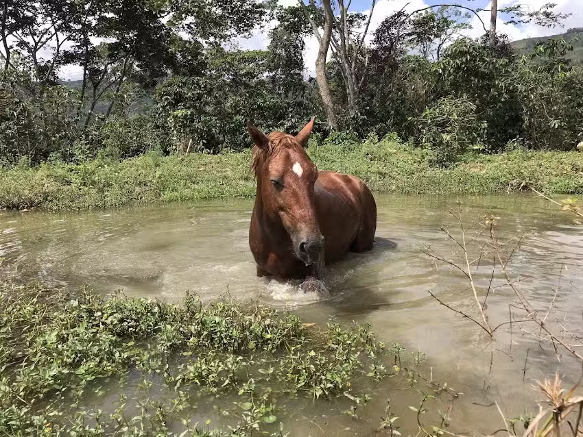 Agropecuaria Tierra Santa