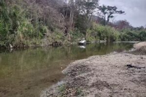 Aminta Su&aacute;rez