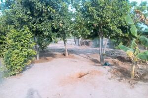 ANTIRRAWA onelio garcia