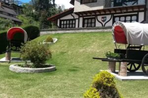 caba&ntilde;a el turco