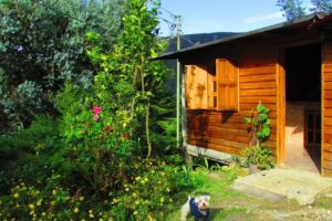 Caba&ntilde;a Jhelen