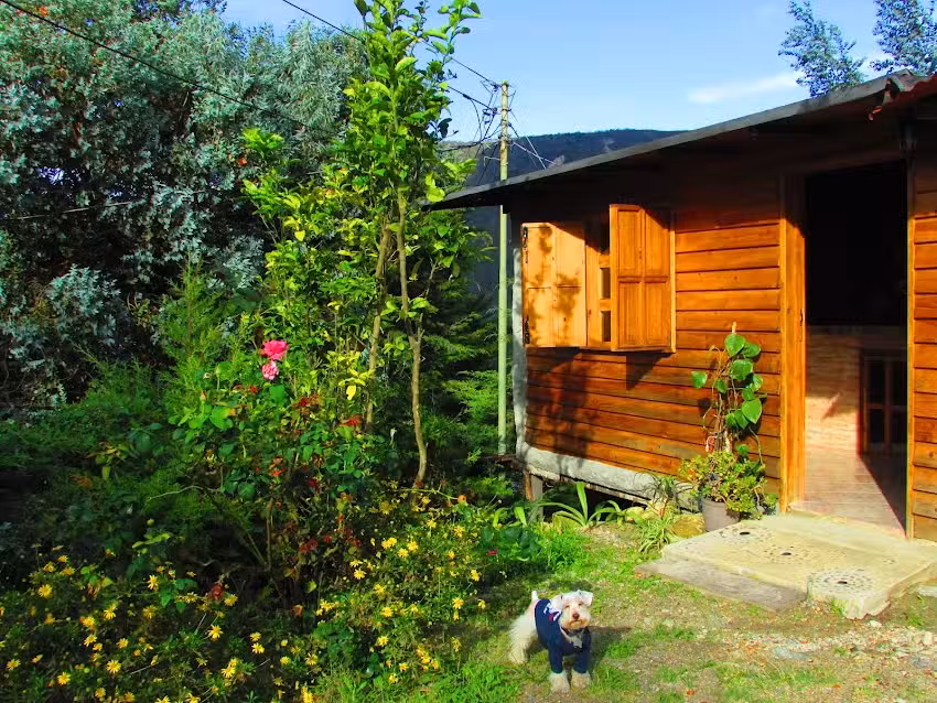 Caba&ntilde;a Jhelen