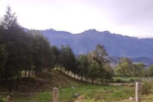 Caba&ntilde;a Jose Maria Velaz