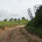 Caba&ntilde;a Strubinger