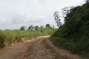 Caba&ntilde;a Strubinger