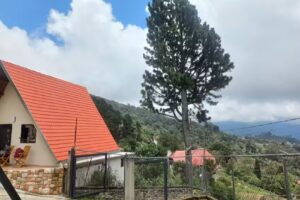 Caba&ntilde;as alpinas, colonia tovar