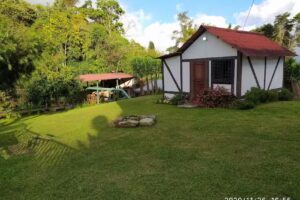 Caba&ntilde;as Clemence