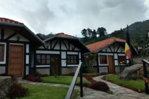 Caba&ntilde;as de Lino