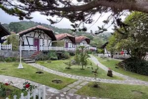 Caba&ntilde;as Hessen Colonia Tovar