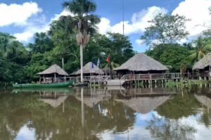 Campamento Bujana Lodge