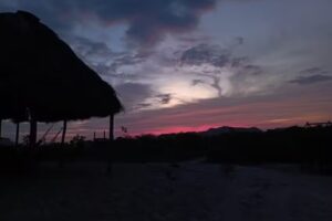 Campamento Ecol&oacute;gico Tortuga