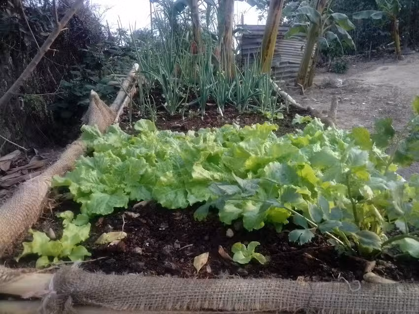 Carr- la Panchera-Quebrada de Oro