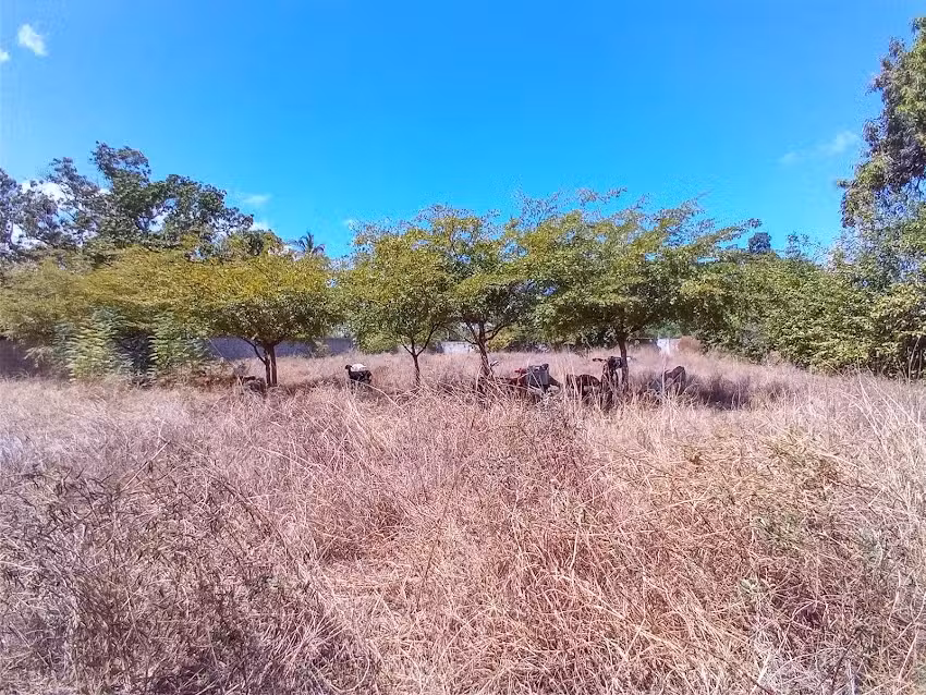 Casa de Campo Viento de Agua