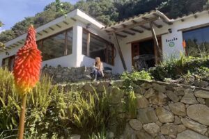 Casa Kuruba, Operadora Escagüey