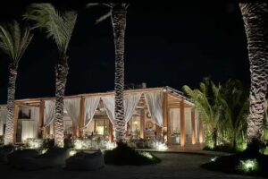 Chelonia Casa de Mar