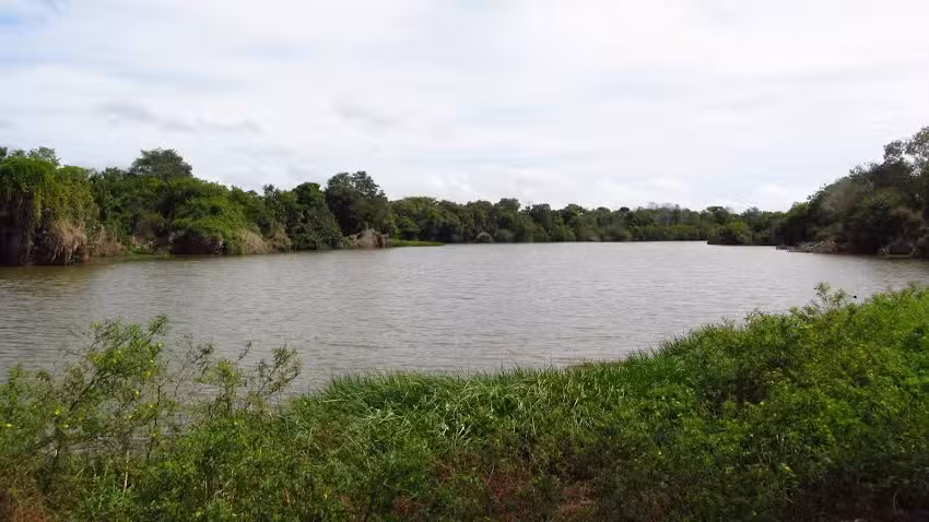 COMUNIDAD EL PI&Ntilde;AL