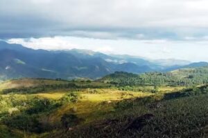 Comunidad Loma de la Virgen