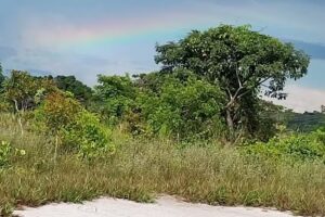 COMUNIDAD SANTA MAR&Iacute;A EL VAPOR