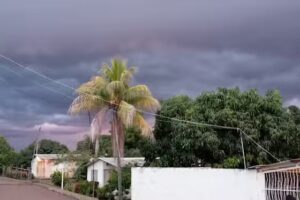 Direcci&oacute;n particular