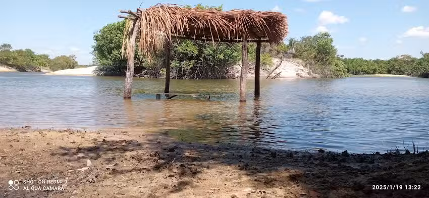 El Payav&oacute;n Venezuela capanaparo