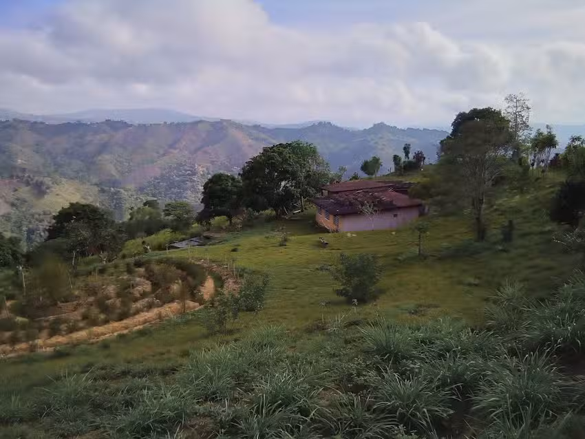 FINCA BUENA VISTA (VLA)