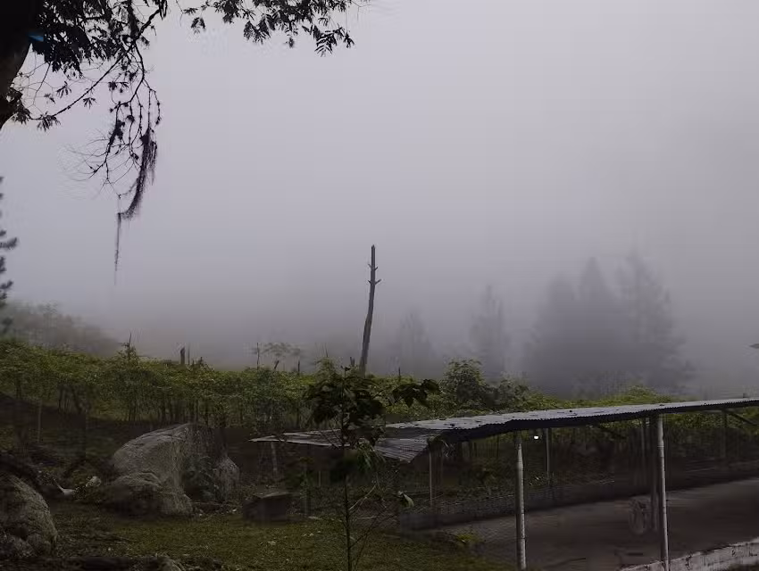 Finca Ca&ntilde;afistola