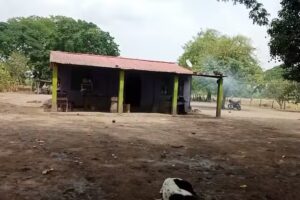 Finca las 2 Ra&iacute;ces