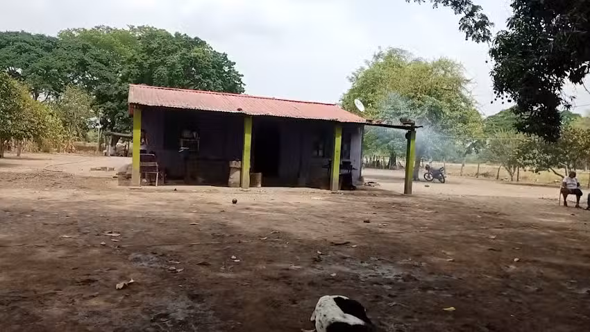 Finca las 2 Ra&iacute;ces