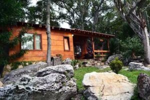 Glamping La Cepa