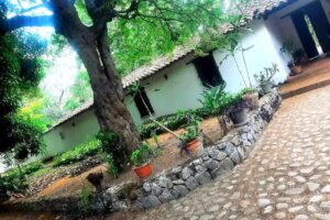 Hacienda Santa Rosalia