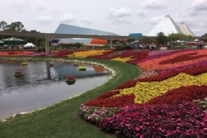 Hotel Buddha Beach and Lounge