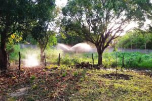 Hotel La Cascada C.A.