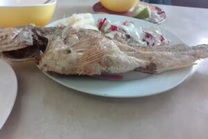 Hotel &lsquo;La Estancia&rsquo;