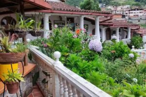 Hotel Mi Peque&ntilde;o Jard&iacute;n