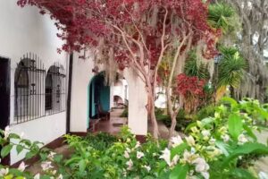 Hotel Posada Los Sauces