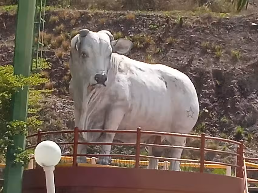 Hotel Villa Victoria