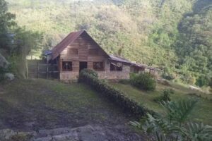 La Caba&ntilde;a de Flor