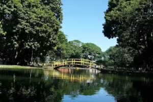 Laguna Parque Jos&eacute; Antonio P&aacute;ez