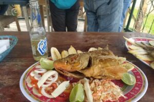 Las Caba&ntilde;itas