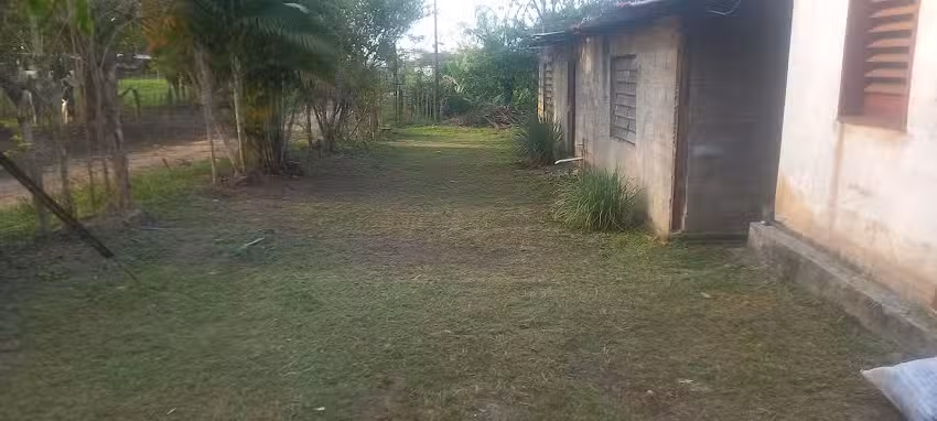 &laquo;Los Guaros&raquo;