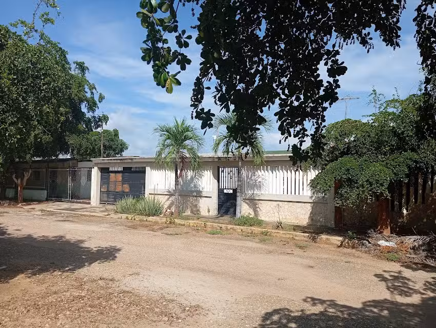 Los Leones de Santiago