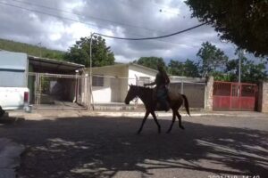 PLAZA BOLIVAR APARICIO