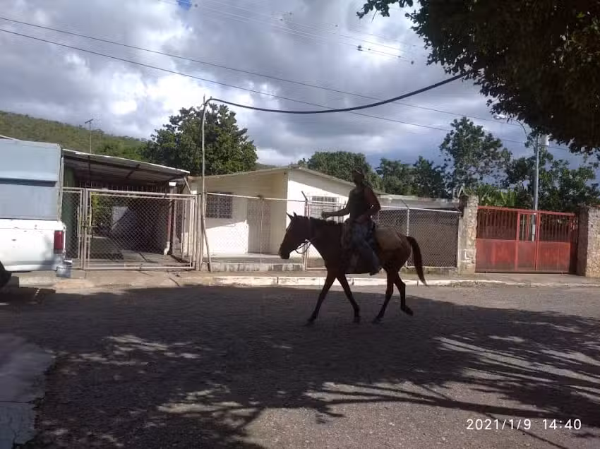 PLAZA BOLIVAR APARICIO