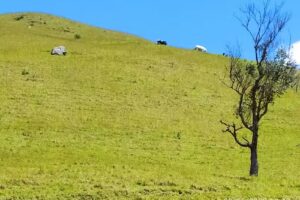Posada Agro Turística El Paraíso