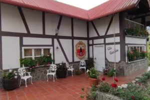 Posada CT Ana Mireya Gutt