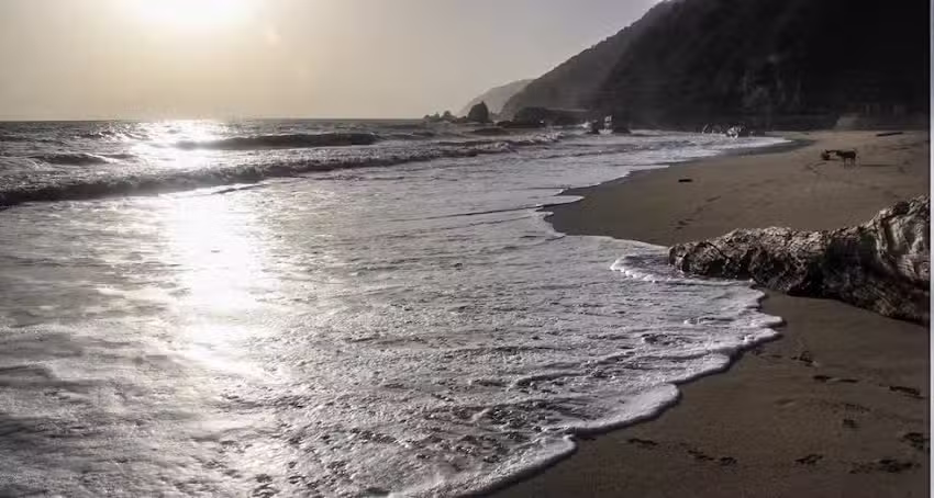 Posada mi refugio caribe&ntilde;o