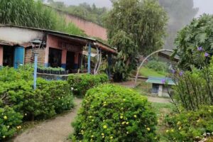 Posada nidal de nubes