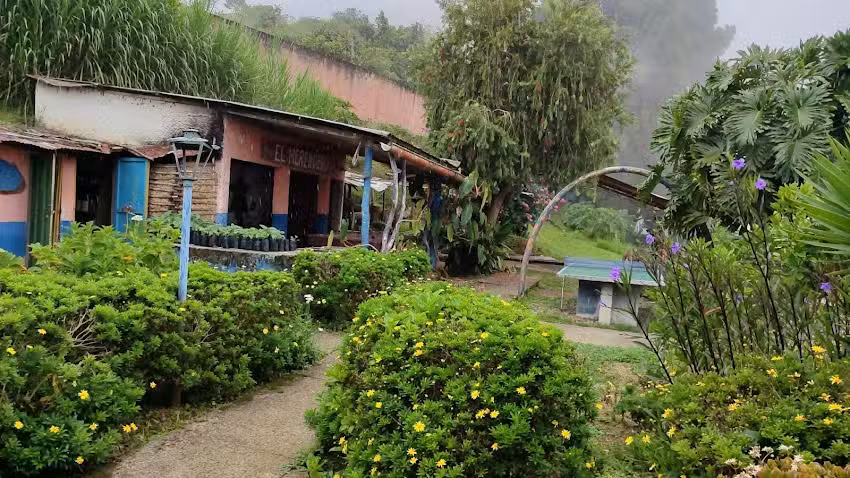 Posada nidal de nubes