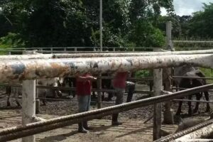 Posada Remanso Suite