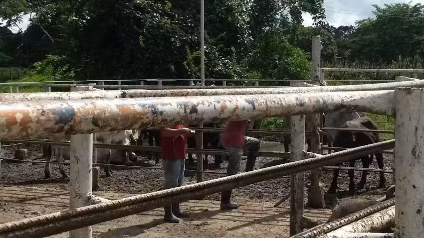 Posada Remanso Suite